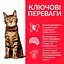 Сухий корм Hill's SP Adult Light для схильних до лишньої ваги дорослих котів з куркою 1.5 кг - мініатюра 2