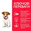 Сухий корм Hill’s SP Puppy Smal&Mini для цуценят малих і мініатюрних порід, з ягням і рисом, 3 кг - мініатюра 3