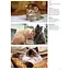 Cats: A Celebration of Our Feline Friends - Фотопулос Джулианна - миниатюра 2