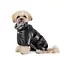 Ком комбінезон Pet Fashion Indigo для собак, М2 чорний - мініатюра 2