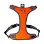 Шлея AnimAll HL-8005-1 для собак, помаранчева, M, 30-36 см/38-64 см - мініатюра 1