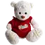 Мягкая игрушка с пледом Мишка Тедди в красном свитере белый плюшевый плед игрушка подушка детская ТМ COLORFUL HOME 509-35WR - миниатюра 1