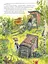 Книга Фіндус іде з дому. Казка. Автор - Свен Нордквіст (Богдан) - мініатюра 4