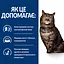 Сухий корм Hill's Prescription Diet k/d Early Stage для котів для підтримання функції нирок на ранній стадії з - мініатюра 5