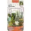 Насіння Кактус Насіння України кімнатний сортосуміш 0.1 г (746200) - мініатюра 1