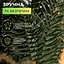 Штучна гірлянда LUGI Хвоя 2 м зелена KOS-HVO12 - мініатюра 7