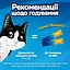 Уценка. Влажный корм для взрослых кошек Felix вкусные моменты дополнительный с курицей 4 шт. х 10 г - миниатюра 9