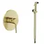 Гігієнічний душ прихованого монтажу Volle Cruze cepillado oro SET20240415 - мініатюра 1