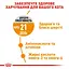 Сухий корм для кішок з проблемною шерстю Royal Canin Hair&Skin Care з куркою 3.2 кг + 800 г - мініатюра 5