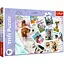 Пазли "Літні картинки собак" 300 елементів 23003 Trefl, в коробці 95900511230031) - мініатюра 1