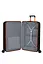 Чемодан Samsonite PROXIS ALU GRAPHITE/APRICOT 76x52x29 76 см KO2*18003 - миниатюра 2