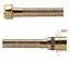Душевой шланг, латунь, 1500 мм, золото Gappo G45-6, Золотой - миниатюра 1