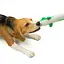 Игрушка для Собак Barksi Аллигатор с хрустящим туловищем и пищалкой   - миниатюра 5