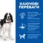 Сухий корм Hill’s SP Adult Medium Breed для дорослих собак середніх порід, з ягням і рисом, BONUS Bag 12+2 кг - мініатюра 2