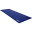Коврик (мат) для фитнеса и йоги York Fitness 0,3см синий - миниатюра 1