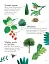 Trees to Spot. Usborne Minis - миниатюра 8