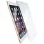 Захисне скло DK для Apple iPad Pro 12.9" 1 gen 2015 A1584/A1652 Full Glue 2 шт (012751) - мініатюра 1