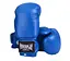 Боксерські рукавиці PP-3004 PowerPlay 18 унцій fit0003806 - миниатюра 1