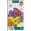 Насіння Кермек Насіння України (суміш) 0.2 г (802300) - мініатюра 1