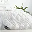 Одеяло Ideia Air Dream Classic зимнее 175х210 см 8-11751 - миниатюра 4