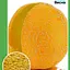 Дыня "Ранняя 133" ТМ "Весна" 1.5г (10132) - миниатюра 1