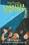 Славетна п'ятірка. Книга 4. П'ятеро рушають до Вершини контрабандистів - миниатюра 1