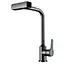 Змішувач для кухні з висувним виливом Champion MOZ-014 4 режими graphite CH6517 Графит - мініатюра 1