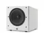 Сабвуфер JBL SUB 100P White - мініатюра 1