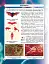 Світ навколо нас. Віруси - мініатюра 4