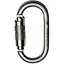 Карабін First Ascent Oval Autolock Stainless Steel (1060-FA 8009) - мініатюра 1