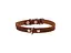 Ошейник для животных Collar одинарный Ш 14 мм Д 27-35 см коричневый (00036) - миниатюра 2