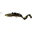 Силикон Savage Gear 3D Line Thru Burbot FS 360 мм 216.0g Black Gold UV (поштучно) - миниатюра 1