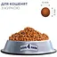 Сухой корм Club 4 Paw Premium для котят Курица 2 кг - миниатюра 2