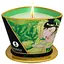 Масажна свічка Shunga Massage Candle Exotic Green Tea з афродизіаками 170 мл - мініатюра 1