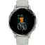 Смарт-часы Garmin Venu 3S Silver S. Steel Bezel w. Sage Gray Case and S. Band (010-02785-01) - миниатюра 6