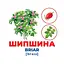Набор развивающих карточек Гений с пеленок Деревья и кустарники 10107196, 17 карточек - миниатюра 3