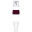 Еротичний костюм Obsessive Student 4 pcs costume S/M - мініатюра 3