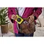 Фотокамера моментальной печати Canon Zoemini C CV123 Bumble Bee Yellow (3884C006) [131310] - миниатюра 5