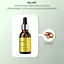 Набір вакуумних банок для масажу обличчя + Арганова олія Hillary - мініатюра 12