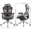Крісло офісне Sihoo Doro C300 Pro Mesh Black (DORO-C300-PRO-M101) - мініатюра 6