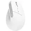 Мышь Trust Bayo+ Ergonomic White (25399) [139427] - миниатюра 1