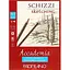 Склейка для эскизов Fabriano Accademia А3 (29.7x42 см) 120 г/м2 50 л - миниатюра 1