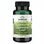 Гимнема сильвестра Swanson Full Spectrum Gymnema Sylvestre Leaf 400 мг 100 капсул - миниатюра 1