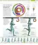 The Complete Running and Marathon Book - миниатюра 5