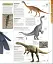 Dinosaurs and Prehistoric Life. The Definitive Visual Guide - мініатюра 6