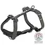 Шлея Trixie CityStyle H-harness для собак бавовна S-M 42-60 см 15 мм чорний - мініатюра 4