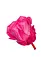 Стабилизированная роза, розовая (8430-018) Elisey   - миниатюра 2