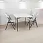 Набір садових меблів SpringFun стіл складний 88см + 2 стільці для пікніка Білий метал/пластик - мініатюра 2