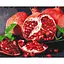 Картина по номерам "Вкусный гранат" Brushme BS32215, 40х50 см - миниатюра 1