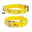 Ошейник для собак кожаный Waudog Glamour с QR-паспортом узор "Звездочка" светонакопительный Ш 35 мм Д 46-60 см желтый - миниатюра 1